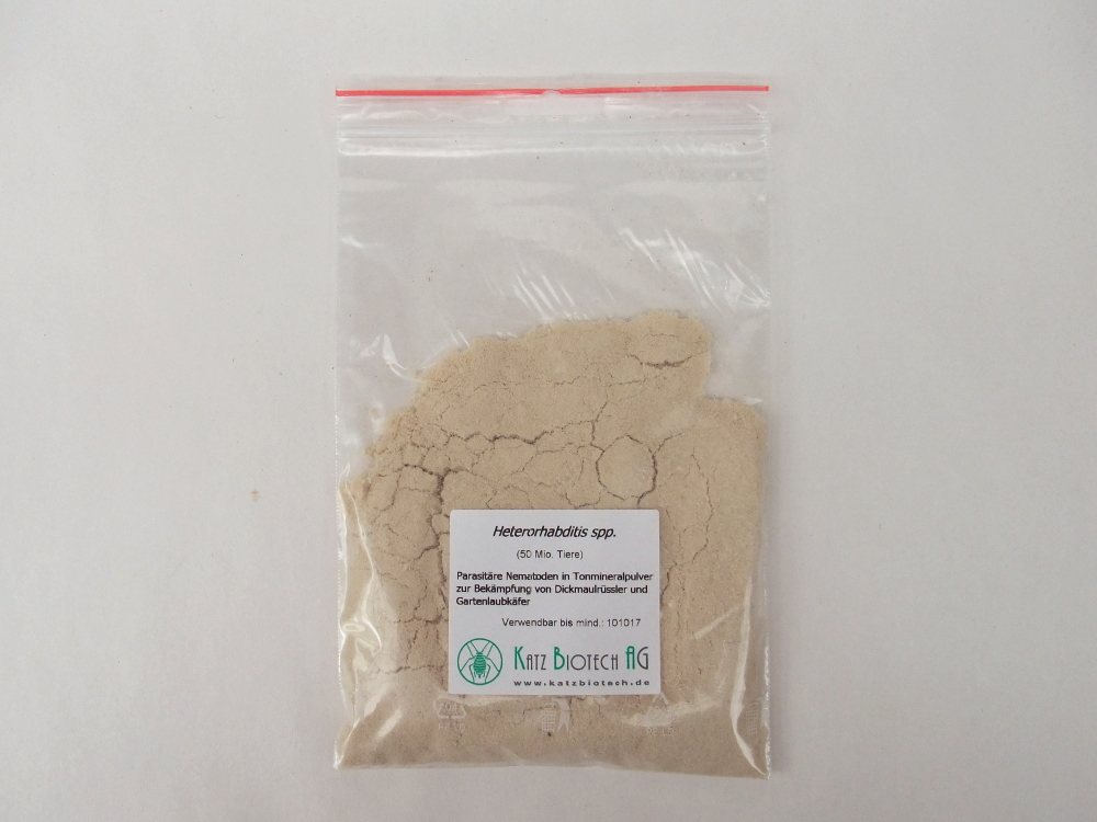 Gartenlaubkäfernematoden: Heterorhabditis bacteriophora