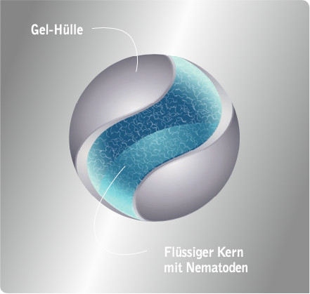 nemaplus® depot - Trauermückennematoden