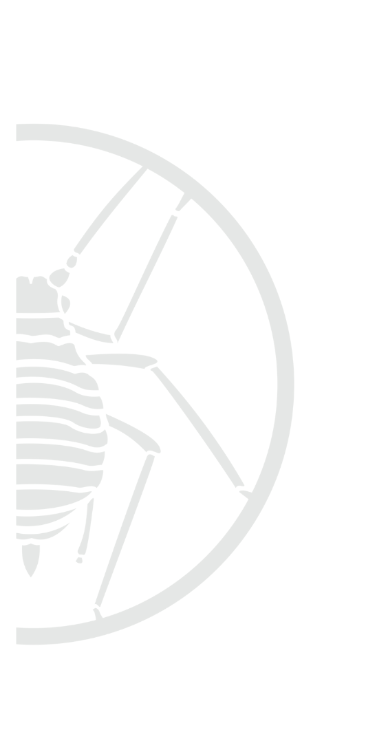 Kontaktformular hintergrundss Kontaktformular hintergrundss